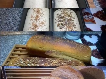 Pan bauletti ai semini